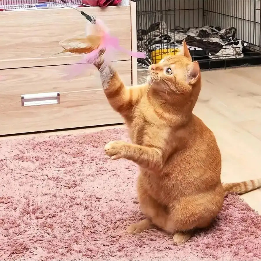 Adjustable Cat Feather Teaser Toy with Silicone Collar and Bell Indoor Cat Interactive Self-Entertainment Toy