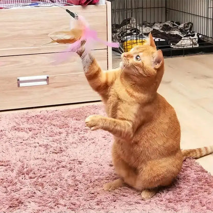 Adjustable Cat Feather Teaser Toy with Silicone Collar and Bell Indoor Cat Interactive Self-Entertainment Toy